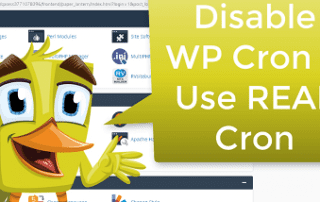 disable wp cron