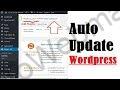 Enable Automatic WordPress Core Update & Auto WordPress Plugin Update
