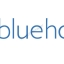 BlueHost Review – Pros and Cons – Are They Really The Best Hosting Company?