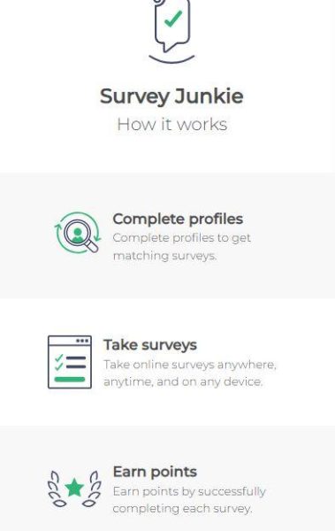 Survey Junkie Features